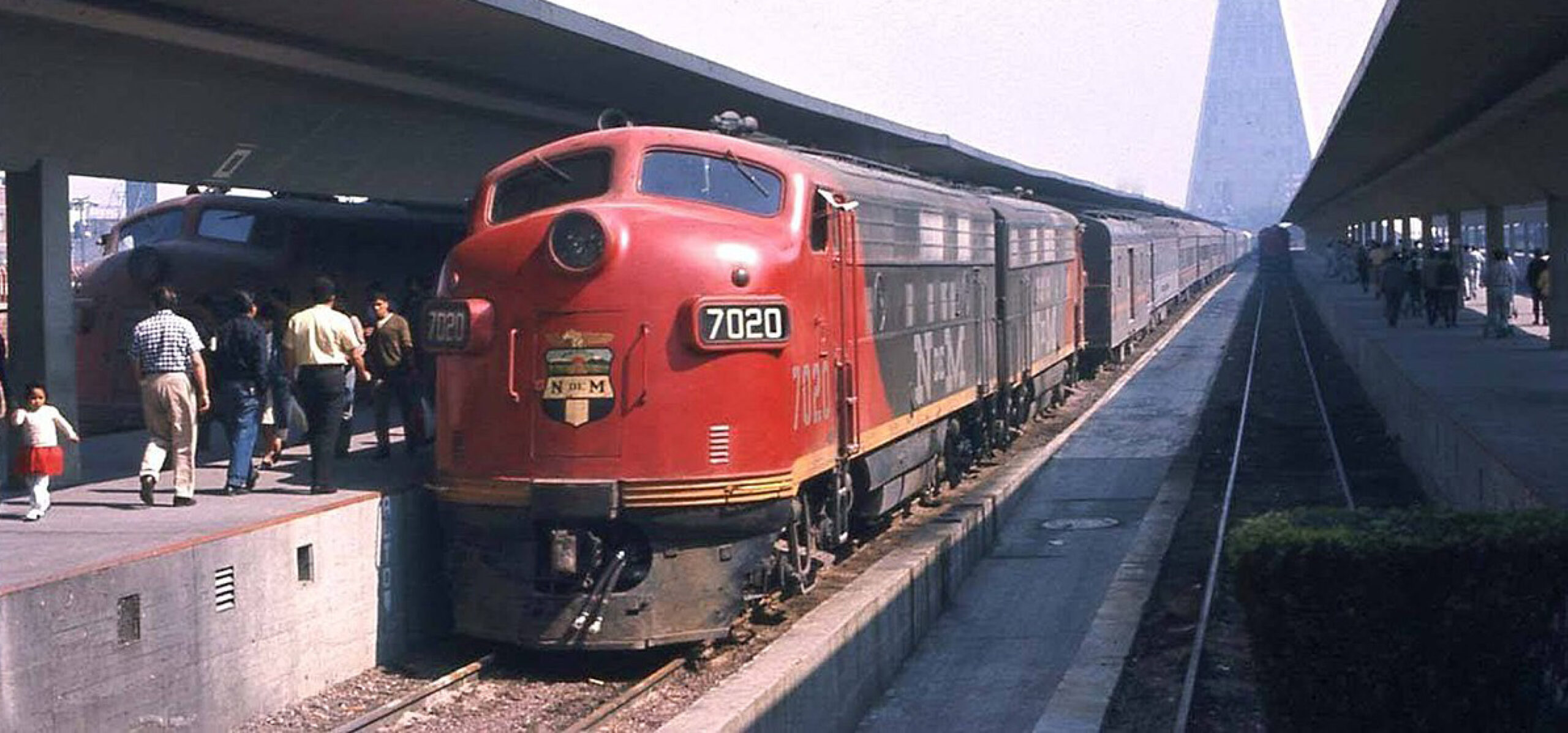 se permiten perros en los trenes de amtrak